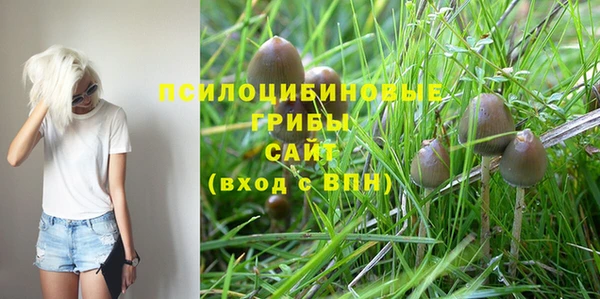 ECSTASY Абдулино