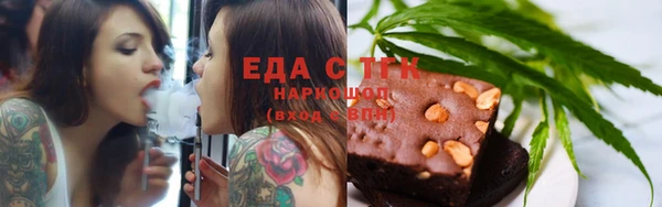 индика Абаза