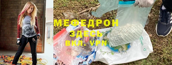 индика Абаза