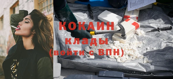 индика Абаза
