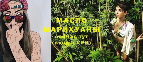 индика Абаза