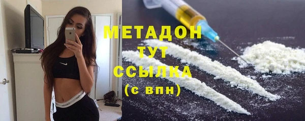 индика Абаза