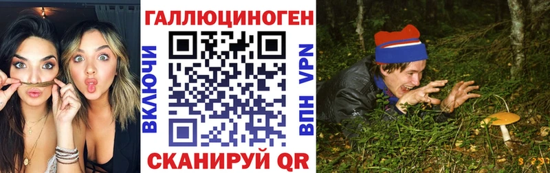 маркетплейс наркотические препараты  Новое Девяткино  Галлюциногенные грибы Psilocybe 